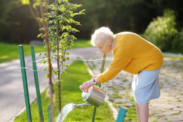 senior-woman-volunteer-watering-watering-can-pensioner-tree-lady-70-75-garden-75-80-age-aged-care_t20_Ll1YW7